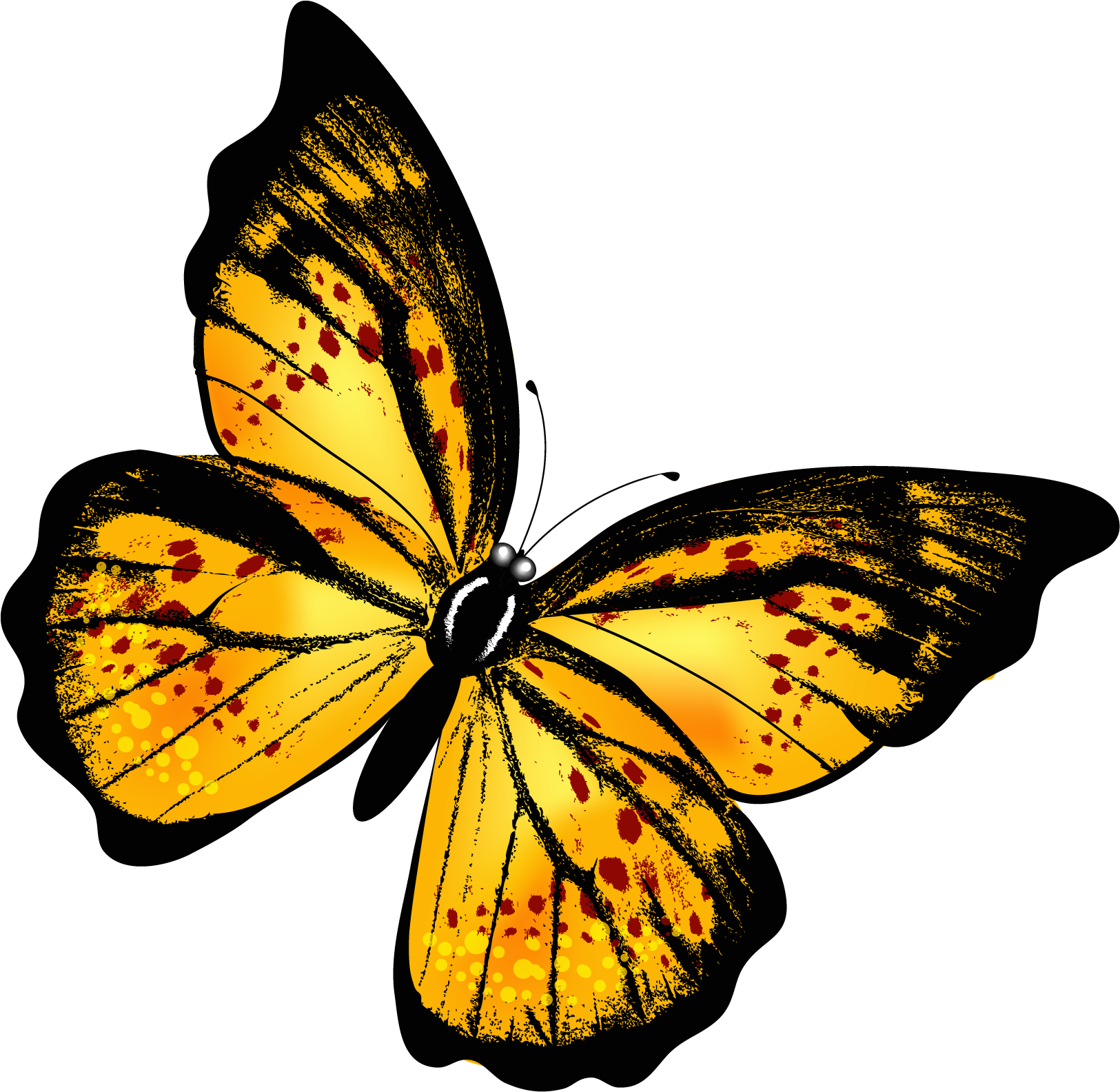 Бабочки на белом фоне. Жёлтая бабочка. Бабосики на прозрачном фоне. Бабочки на просроченном фоне.