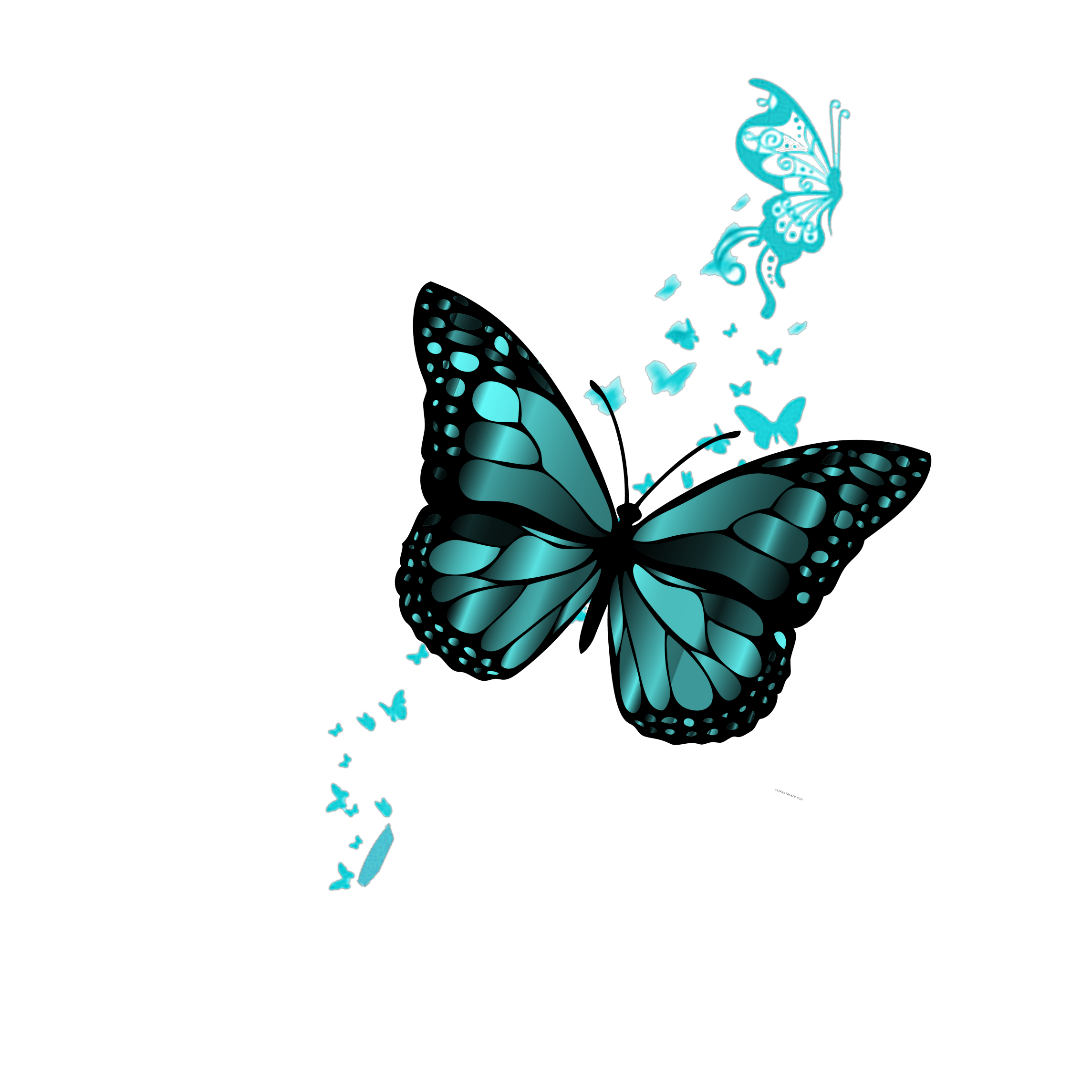 Фон бабочки png. Бабочка без фона. Голубые бабочки на белом фоне. Экзотические бабочки на белом фоне. Красивая бабочка без фона.