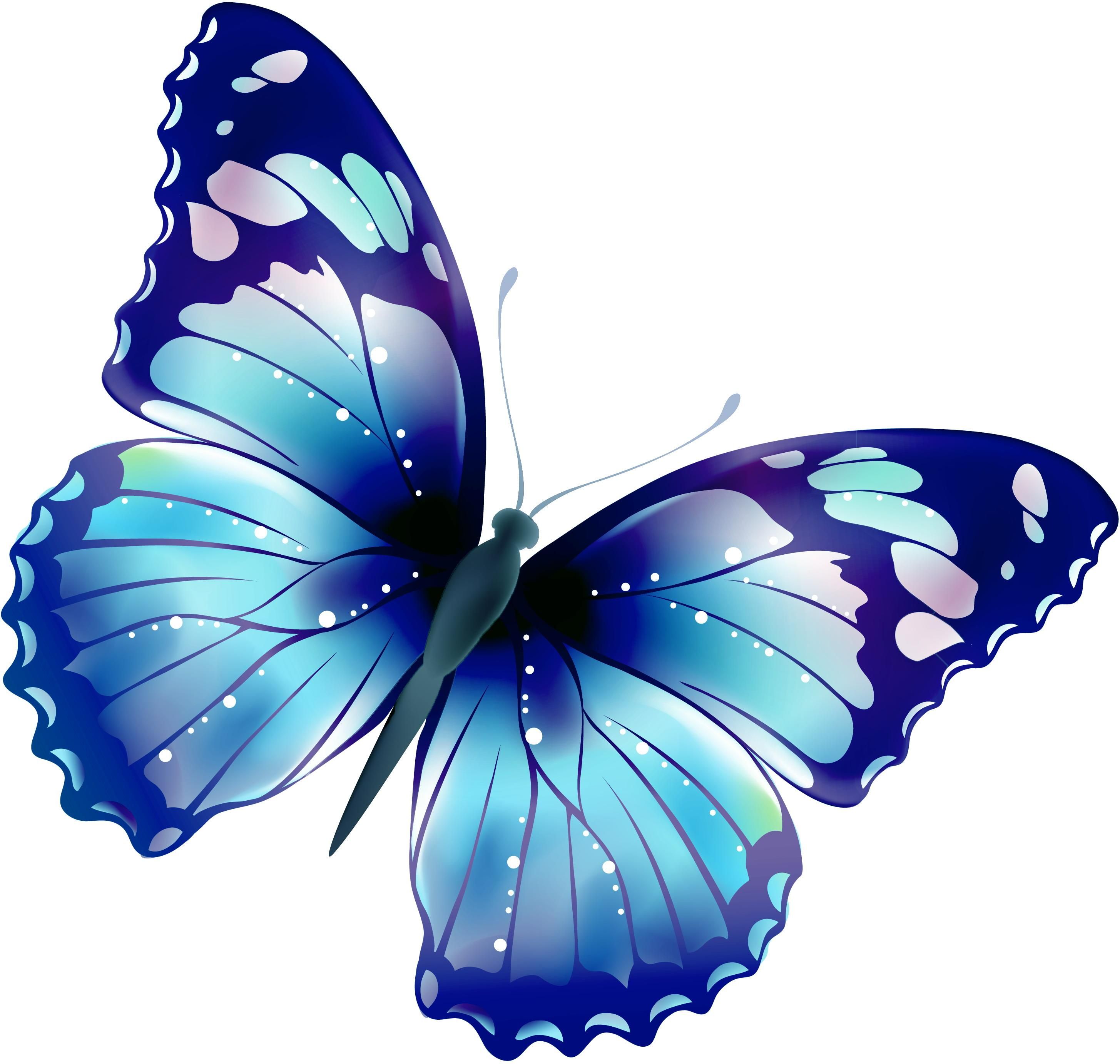 Фото синих бабочек на белом фоне