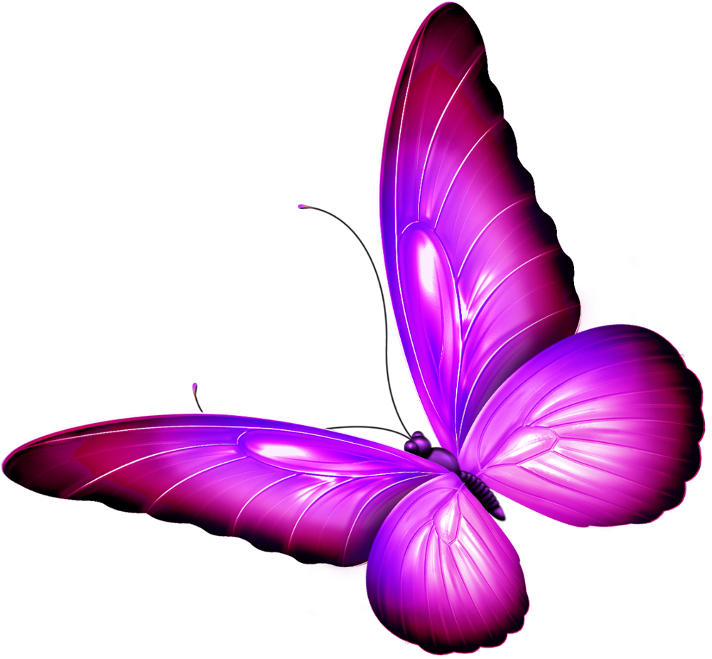 Пнг изображения. Картинка бабочка на прозрачном фоне. Розовые бабочки на прозрачном фоне. Сиреневые бабочки. Бабочки на белом фоне.