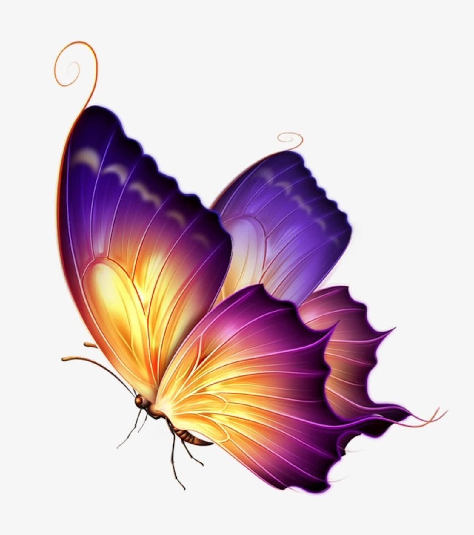 Сказочные бабочки на прозрачном фоне