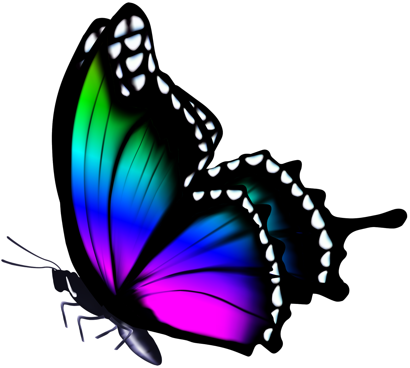 Картинки на прозрачном фоне. Разноцветные бабочки. Бабочки на просроченном фоне. Бабочки для фотошопа. Бабочки клипарт.