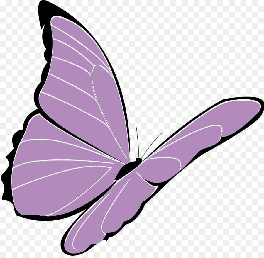 Фиолетовые бабочки на прозрачном фоне