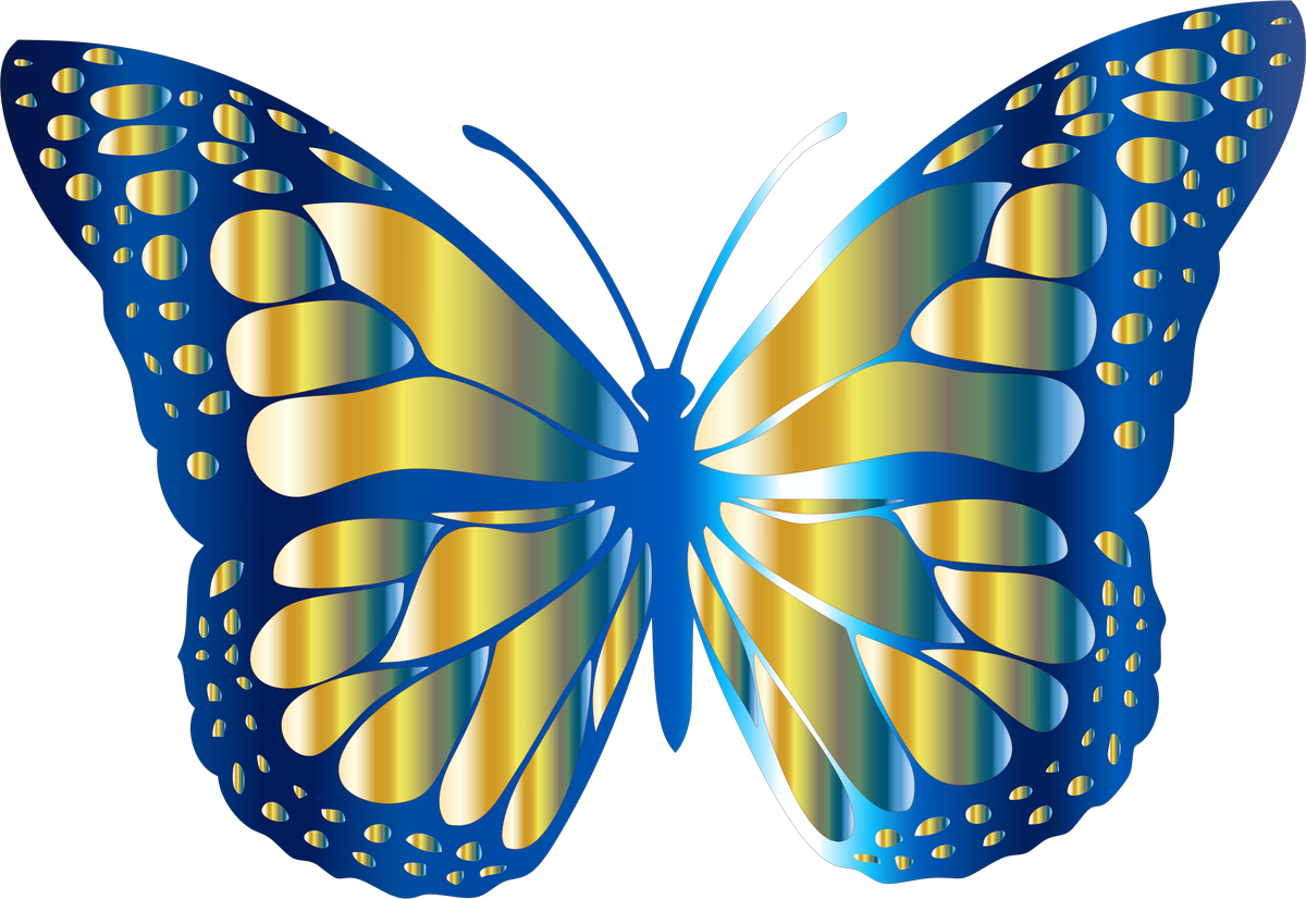 Пнг изображения. Бабочки на белом фоне. Красивые бабочки на прозрачном фоне. Красивый векторные бабочки. Яркие бабочки на прозрачном фоне.