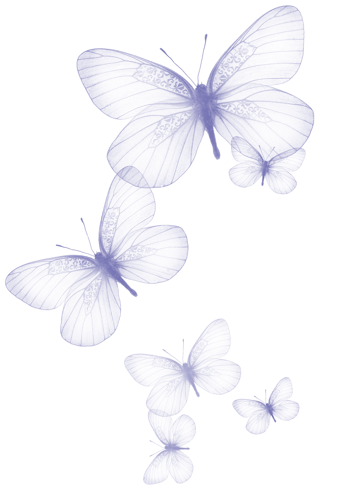 Прозрачная картинка. Бабочки на белом фоне. Бабочки на Светлом фоне. Бабочки для фотошопа. Полупрозрачная бабочка.