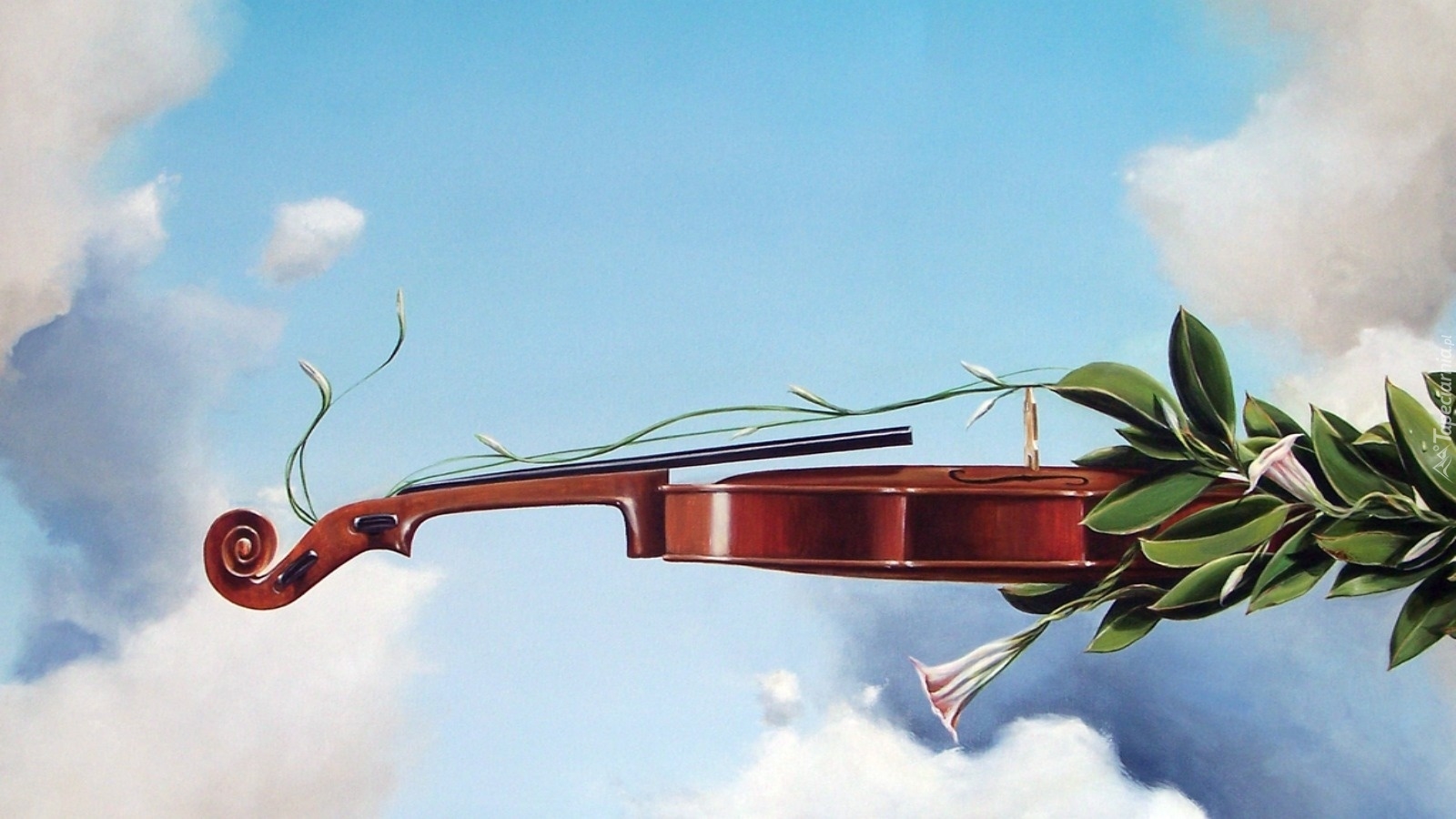 Скрипка на природе