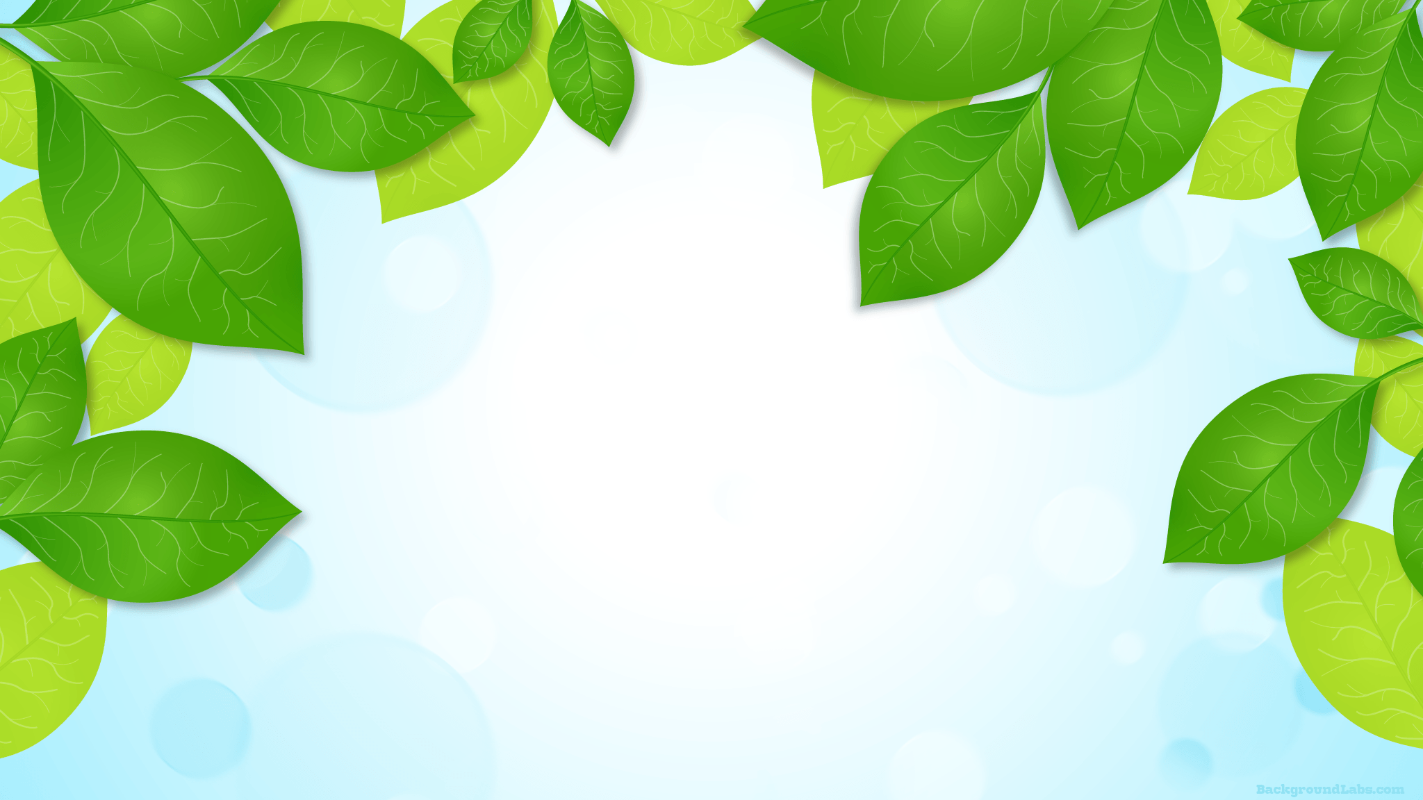 Зеленый фон с листочками