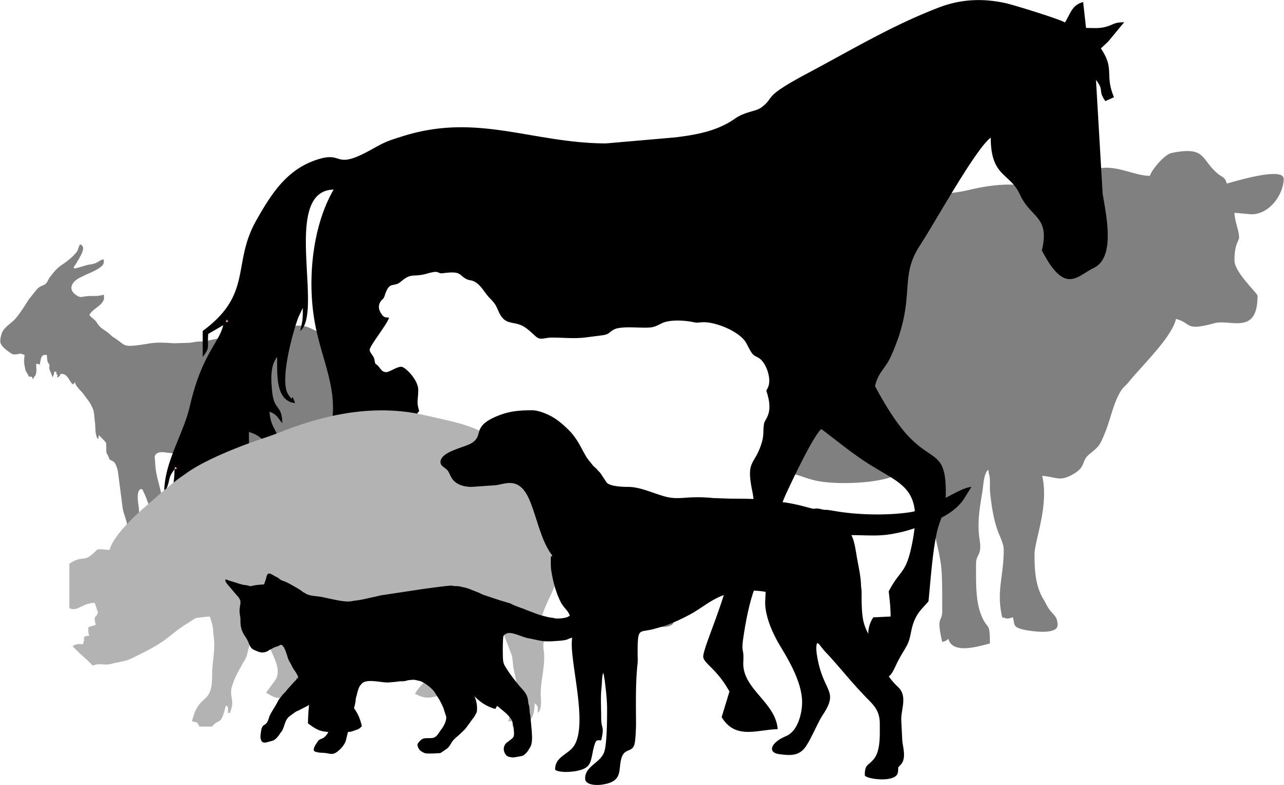 Логотип с домашними животными