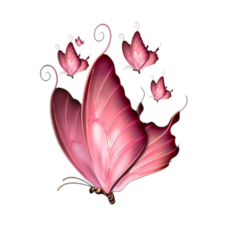 Клипарт прозрачные картинки. Бабочки. Розовые бабочки. Бабочка рисунок. Сказочная бабочка на белом фоне.